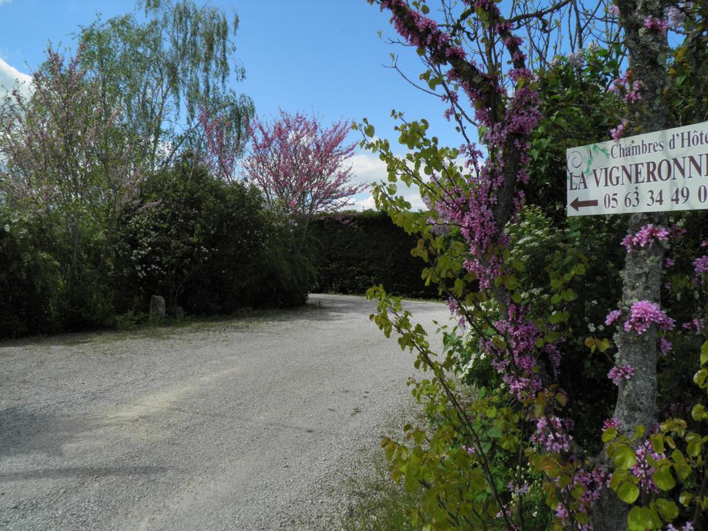 Chambres D'Hotes La Vigneronne Senouillac Zewnętrze zdjęcie